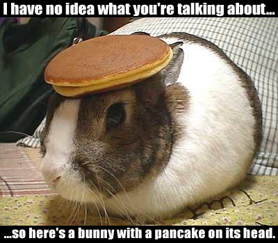 http://www.kevindustries.com/media/kw/files/bunny-pancake.jpg